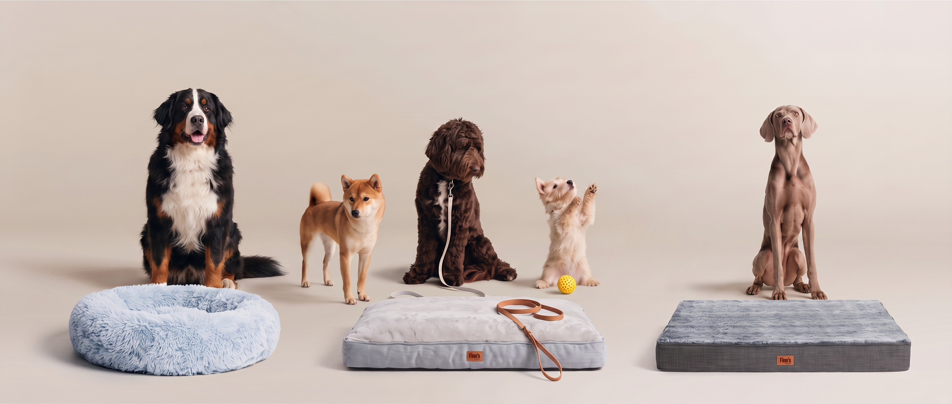 Vier honden naast hun Finn's Friends hondenmanden
