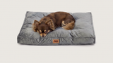 Bella's Bed — M 60×50