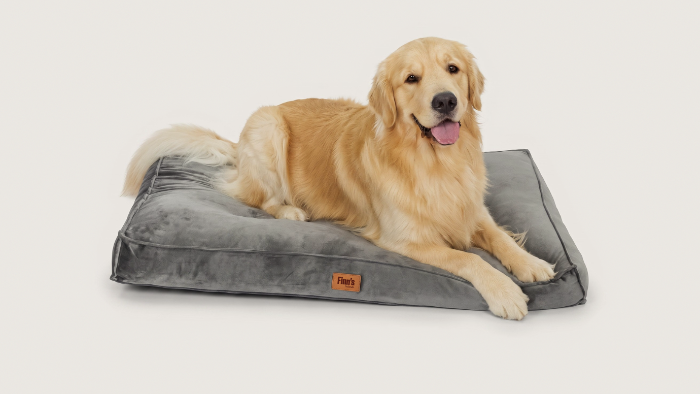 Bella's Bed — XL 102×69