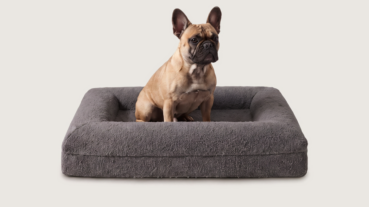 Bo's Bouclé Donkergrijs maat M met Franse bulldog