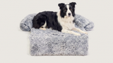 Charlie's Couch — L 100×85