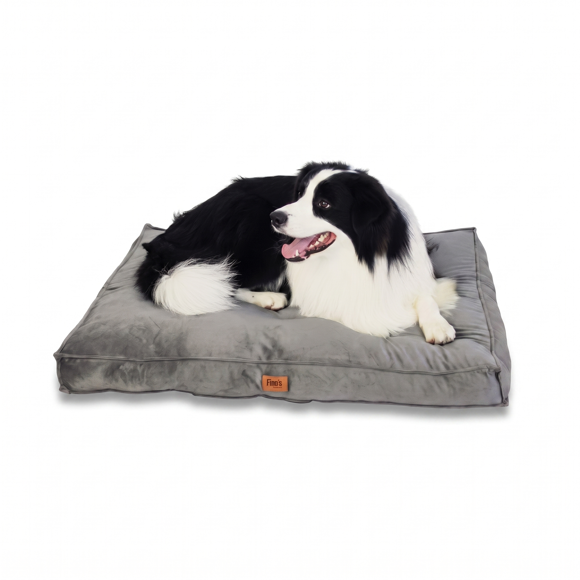 Bella's Bed wit (card)