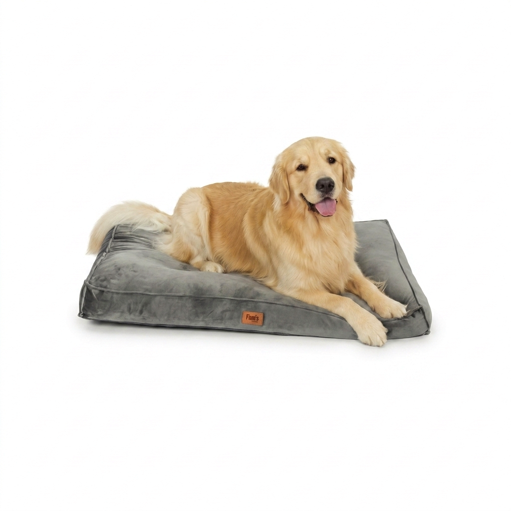 Bella's Bed wit (card hover)