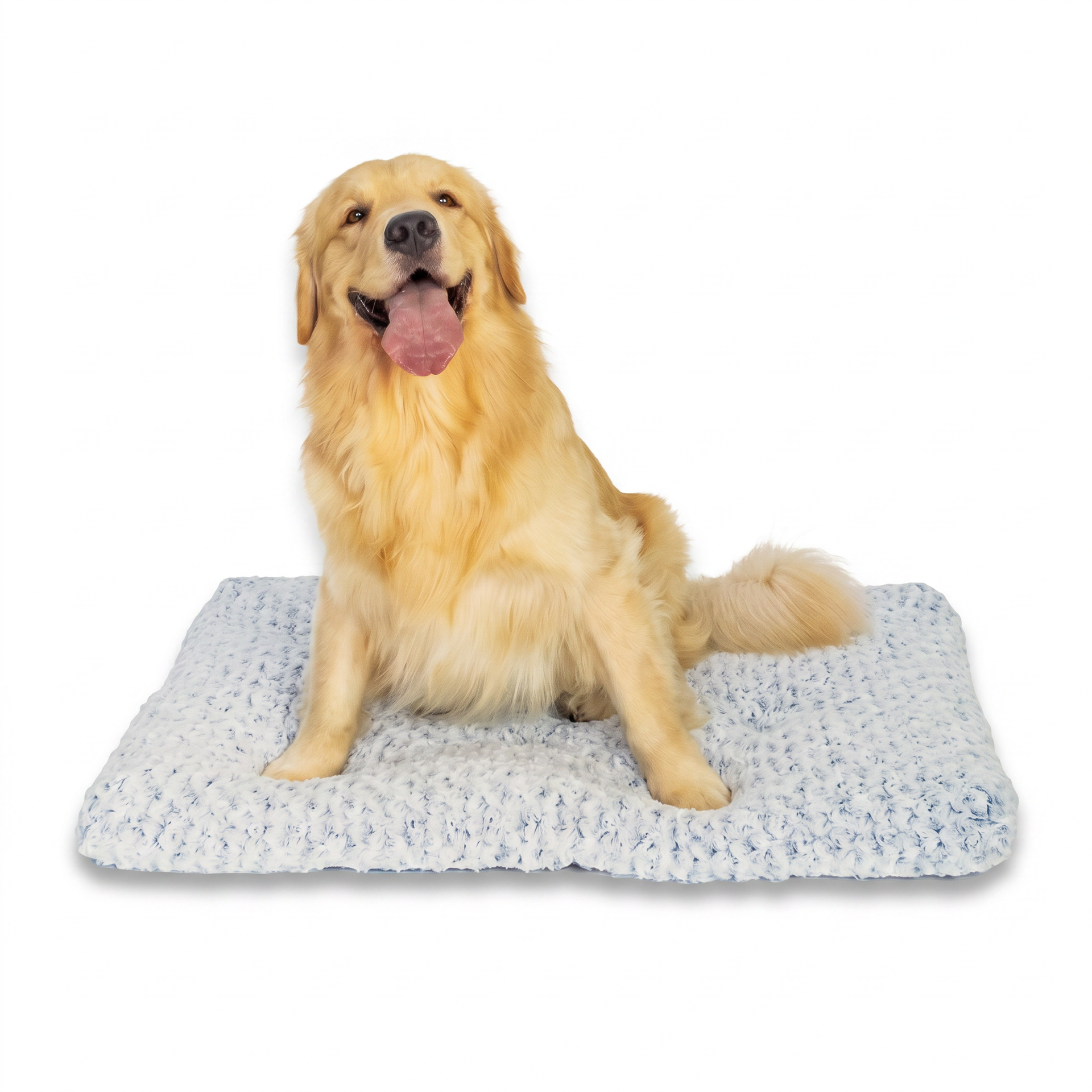 Luna's Lounger wit (card)