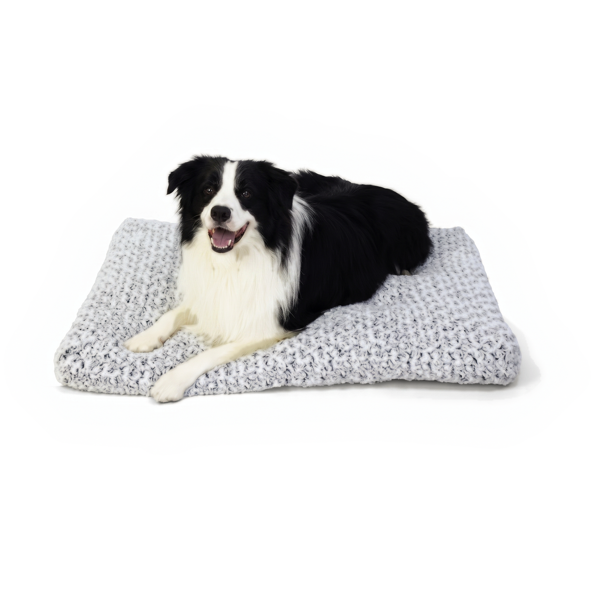 Luna's Lounger met border collie (kaart)