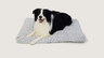 Luna's Lounger