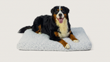Luna's Lounger — XXL 120×80