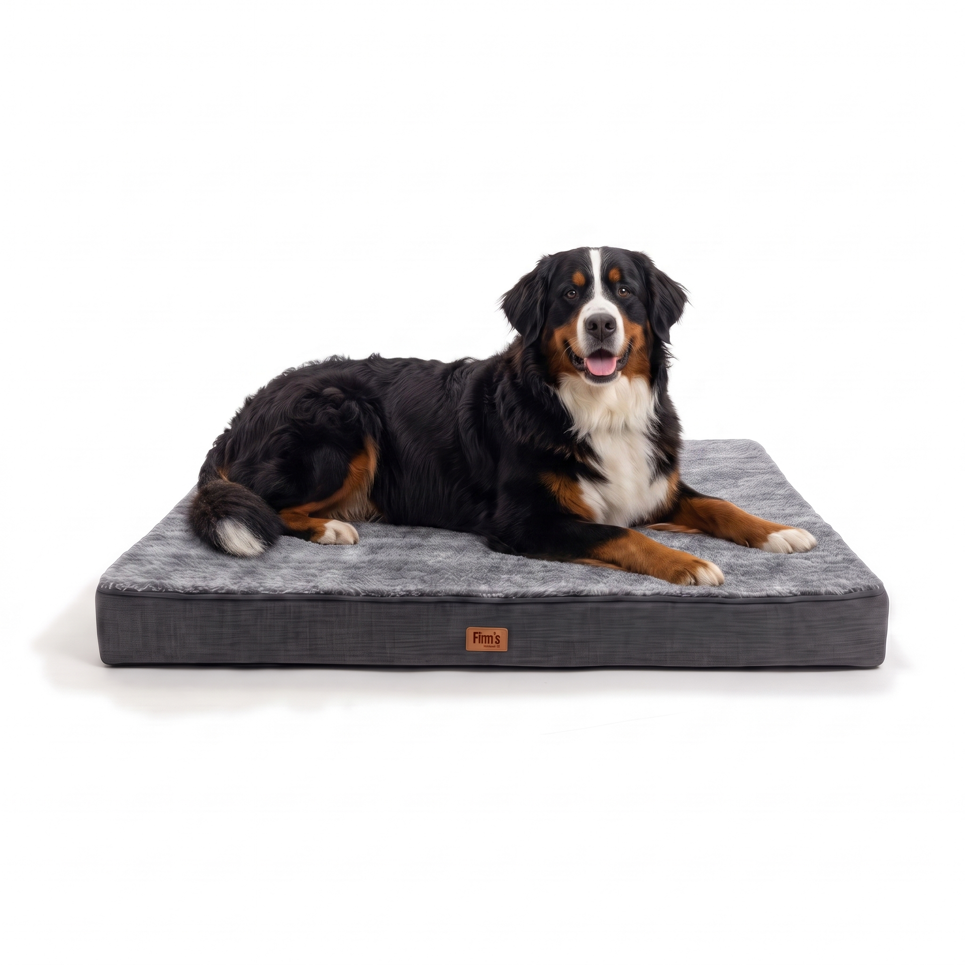 Berner Sennenhond ligt op orthopedisch hondenmatras