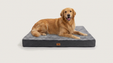 Milo's Mattress — XL 100×75