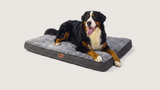 Milo's Mattress — XXL 120×75