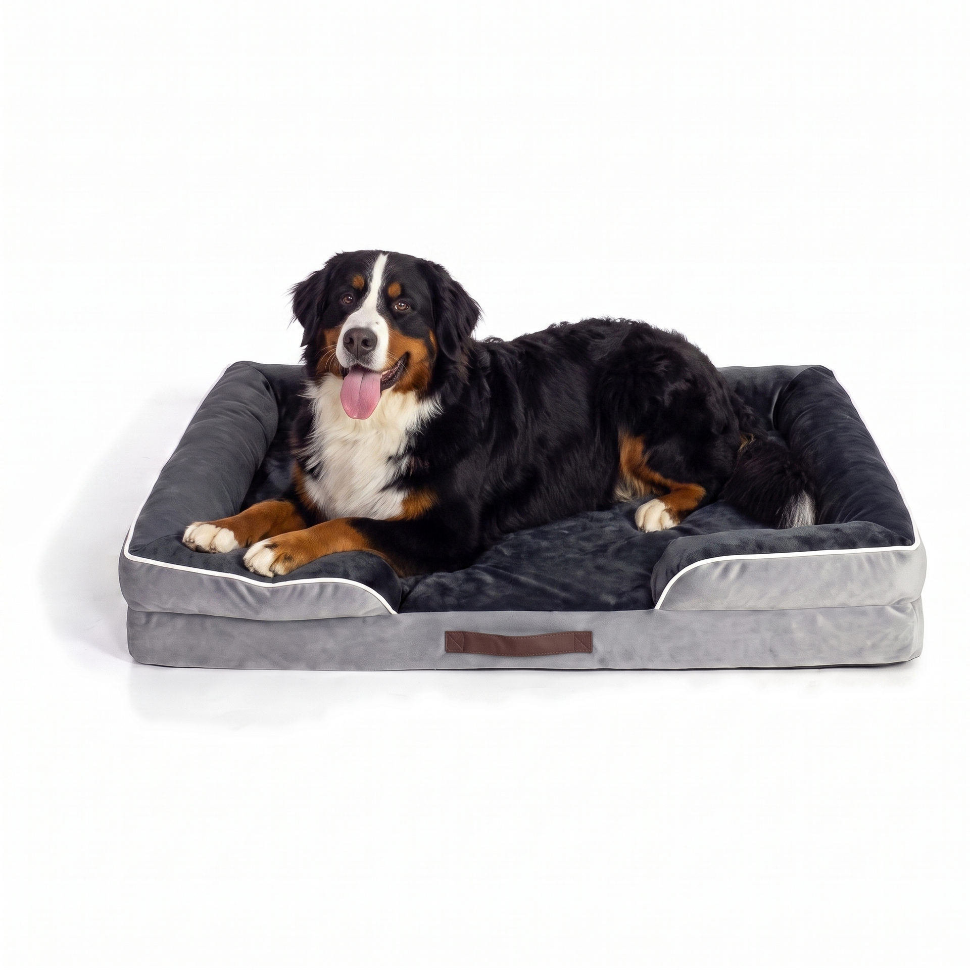 Berner Sennenhond ligt op orthopedisch hondenbed met rand