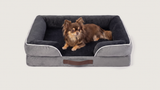 Ollie's Oasis — M 71×59