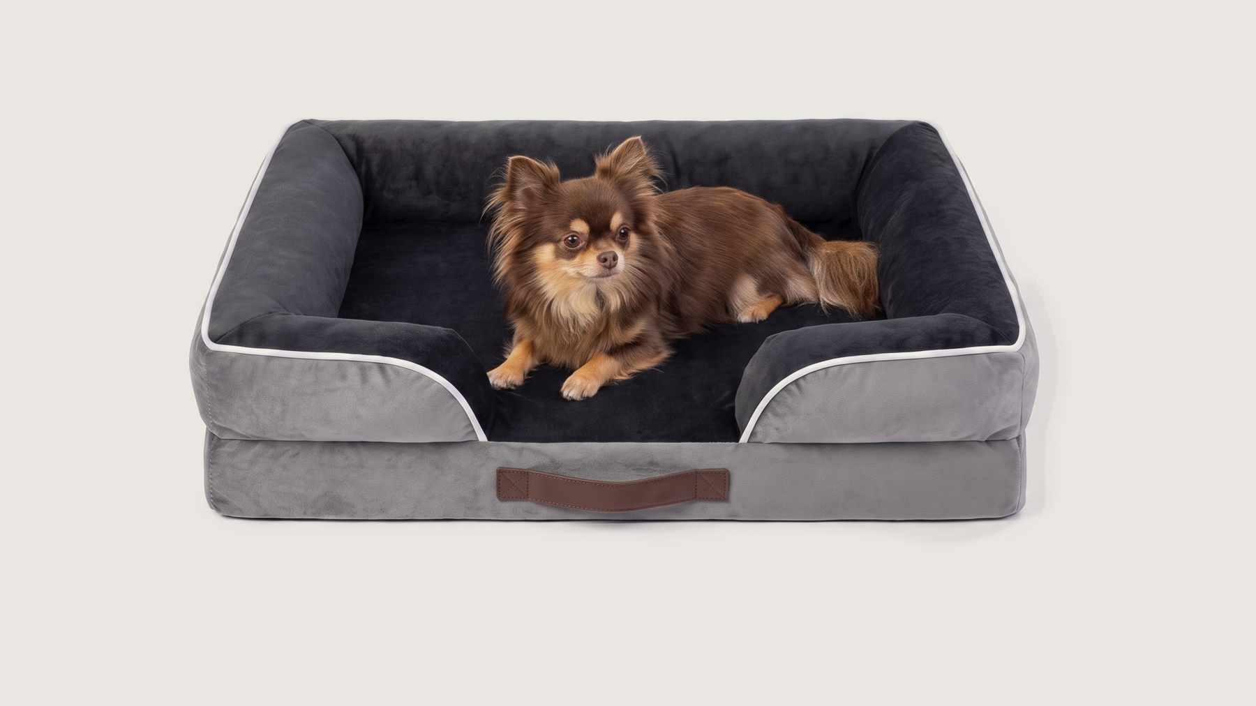 Ollie's Oasis — M 71×59