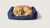Otis' Oxford Blauw, L 91×61 met golden retriever