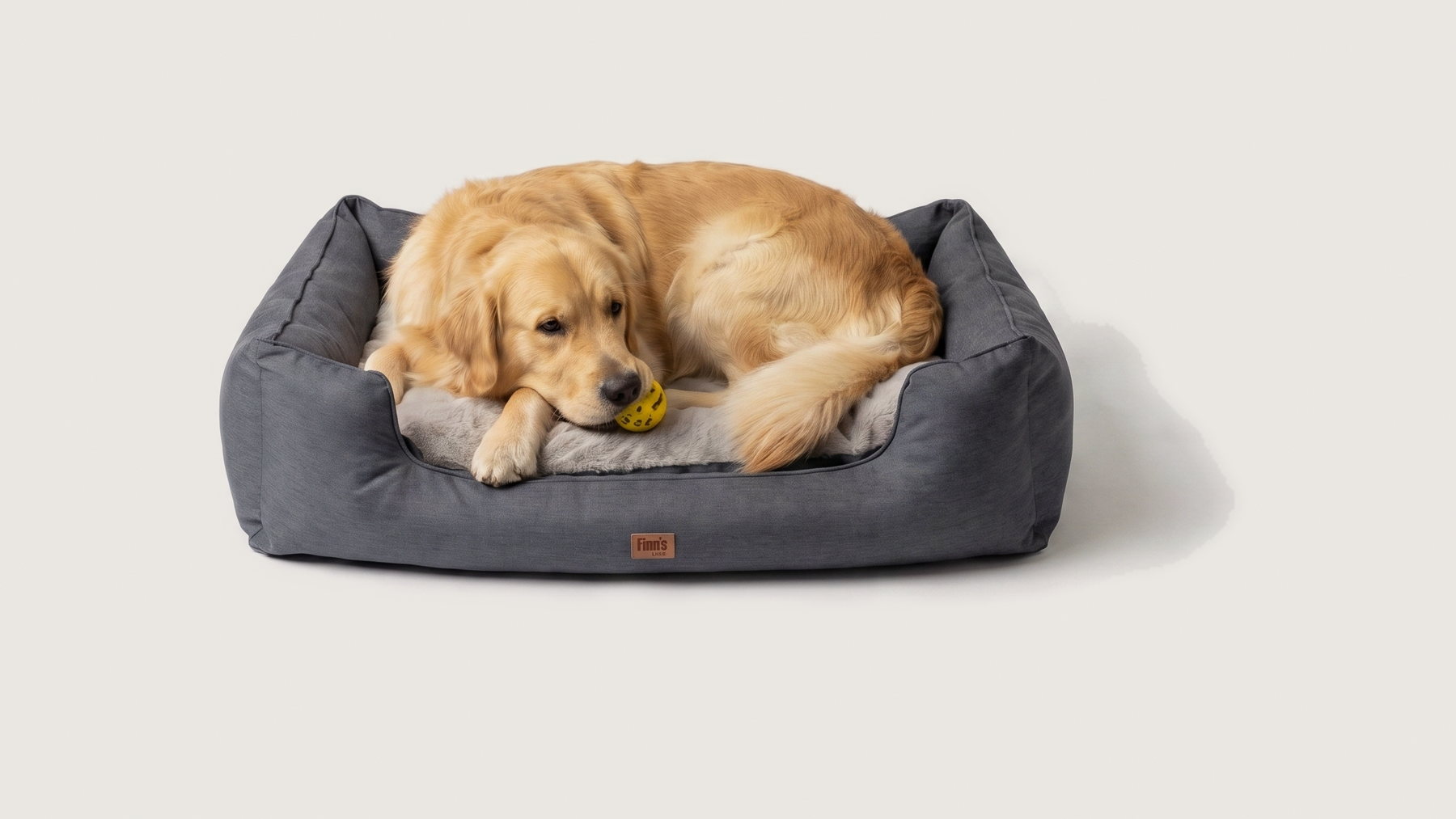 Otis' Oxford — L 91×61