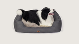 Otis' Oxford — M 71×58