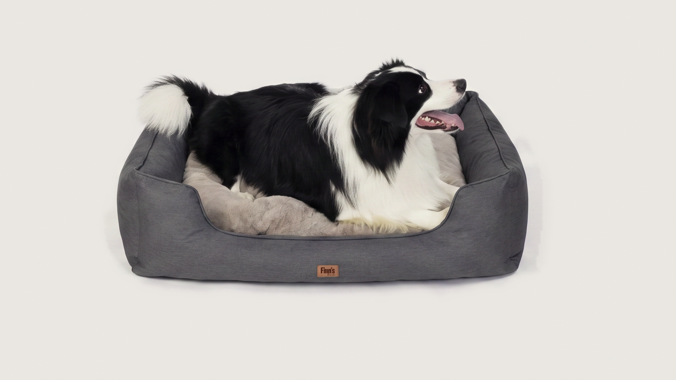 Otis' Oxford — M 71×58
