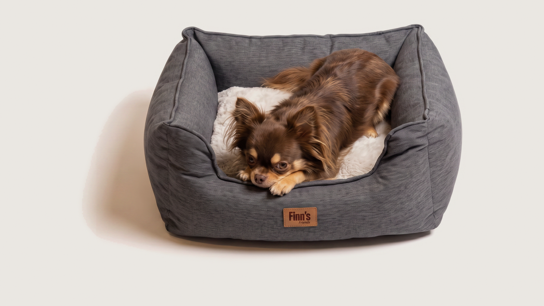 Otis' Oxford — S 51×46