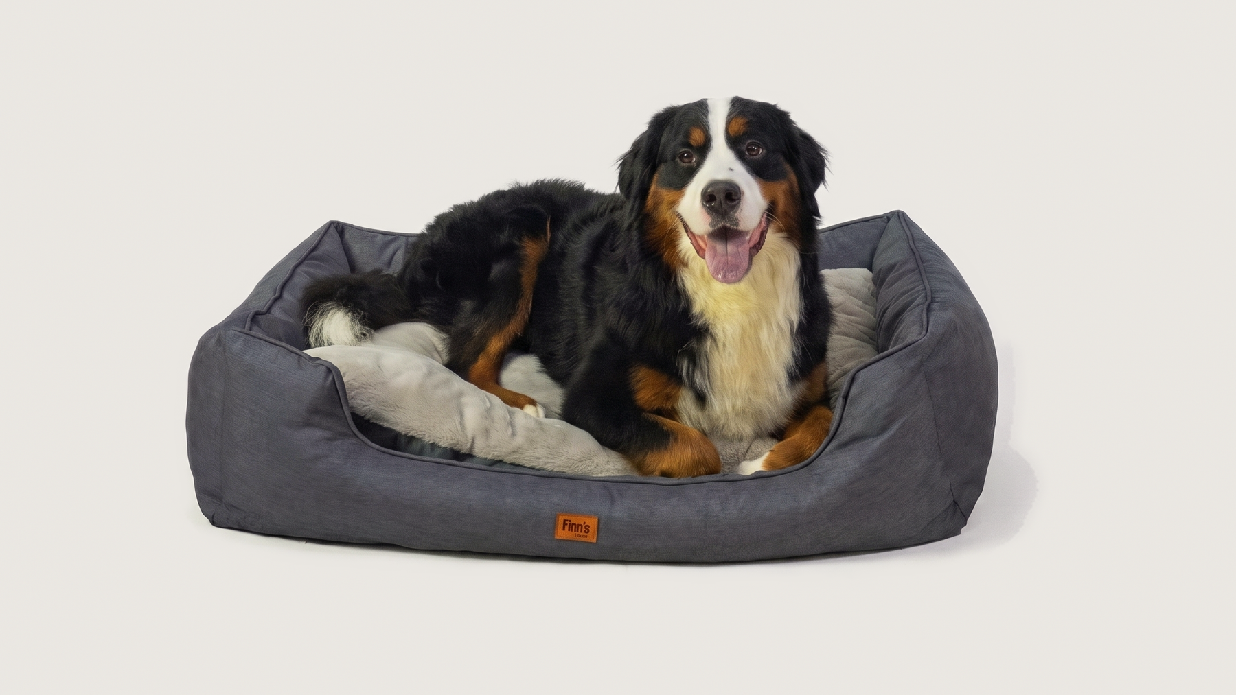 Otis' Oxford — XL 108×78